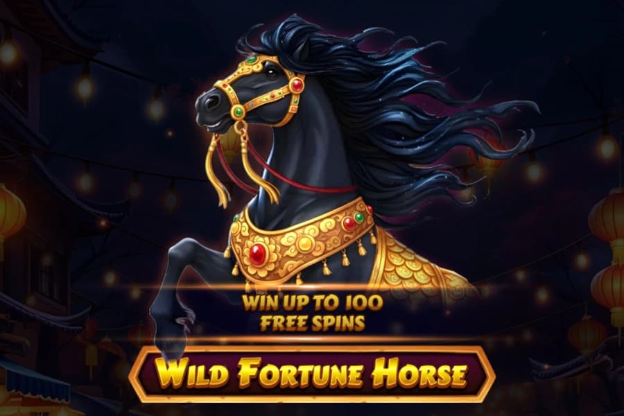 Wild Fortune Horse