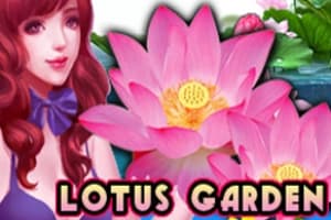 Lotus Garden