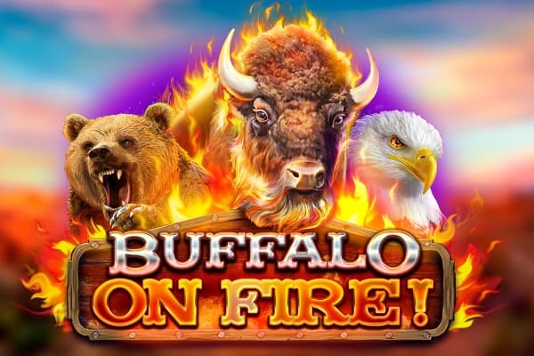 Buffalo on Fire