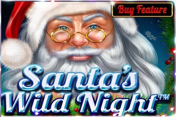 Santa's Wild Night