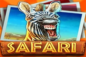 Safari