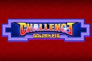 Challenge Golden Pig
