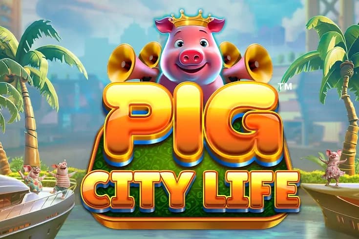 Pig City Life