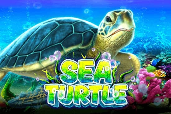 Sea Turtle