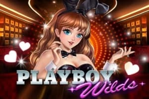 Playboy Wilds