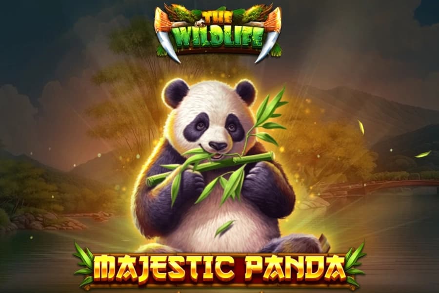 Majestic Panda