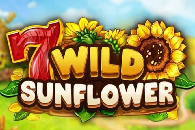 Wild Sunflower