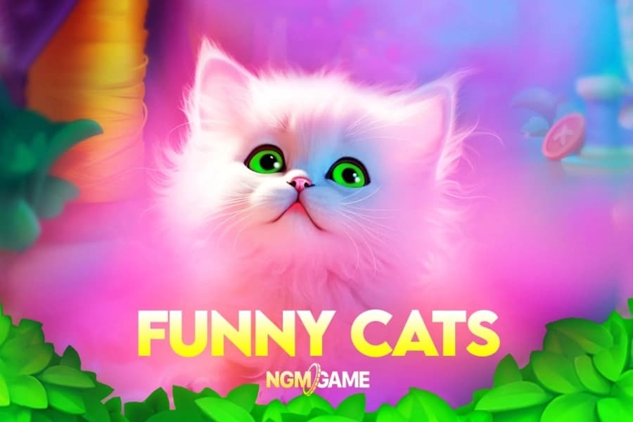 Funny Cats