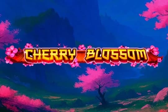 Cherry Blossom