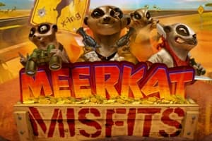 Meerkat Misfits