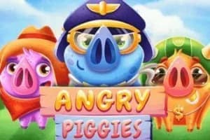 Angry Piggies