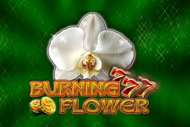 Burning Flower