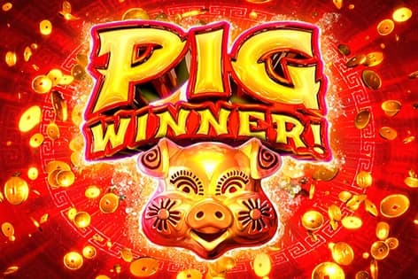 Pig Winner